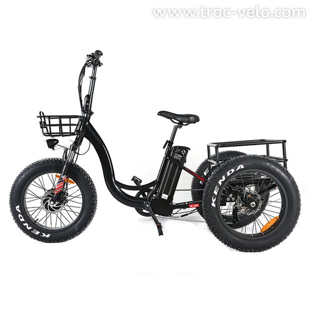 Tricycle Saili 500W 20Ah - 1