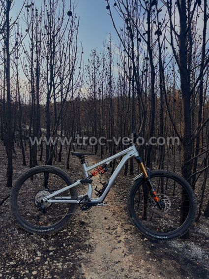 Specialized Stump 15
