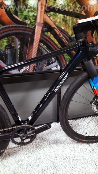 Bergamont Grandurance Carbone  - 2