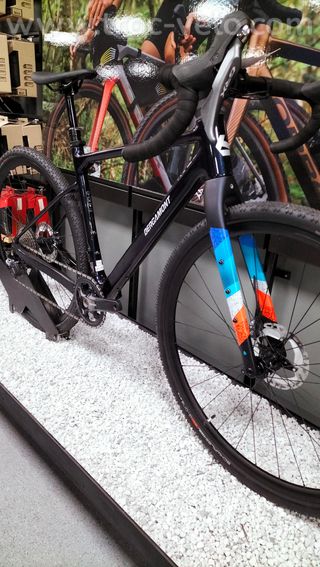 Bergamont Grandurance Carbone  - 3