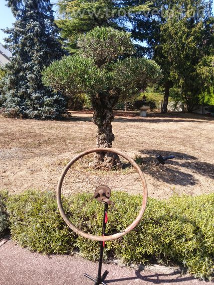 Roue en bois pour collectionneur