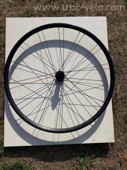 Paire de roues ALEXRIMS EXPERT SL 28"/700c - 2