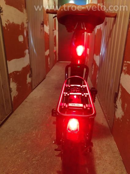 Vélo éléctrique pliable + 1 batterie de secours (346klm) - 13
