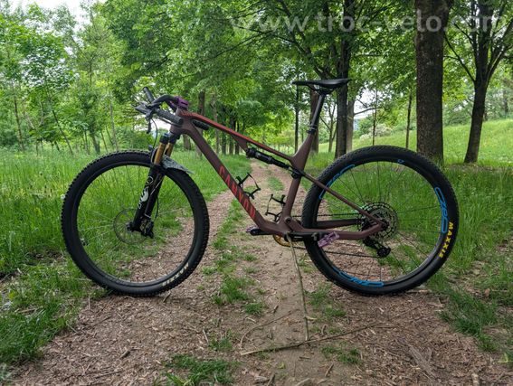 Canyon LUX SRAM XX1 Eagle AXS - 3