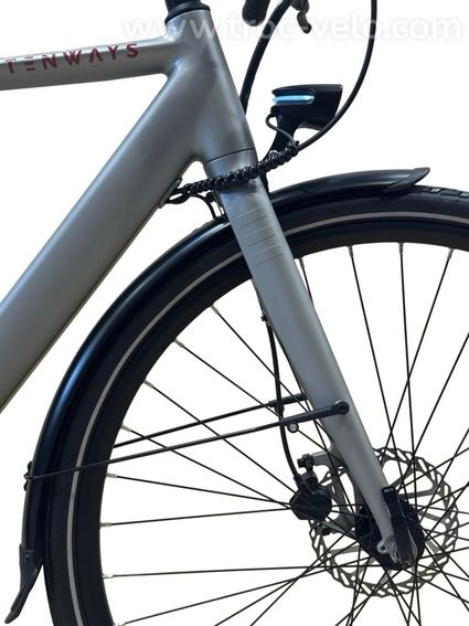 Tenways CGO600 Vélo électrique Single-Speed 2024 - 3