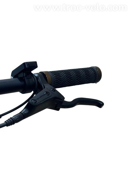 Tenways CGO600 Vélo électrique Single-Speed 2024 - 6