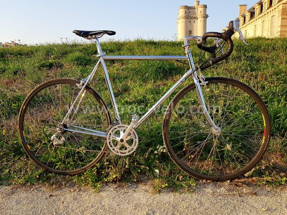 Tige De Selle Ressort Lowrider Classic Pour Vélo - Acier Chromé 22.2mm, Style BMX/cruiser