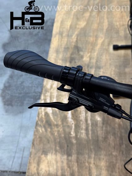 Winora Sinus IX10 Vélo électrique Shimano Deore 2022 - 5