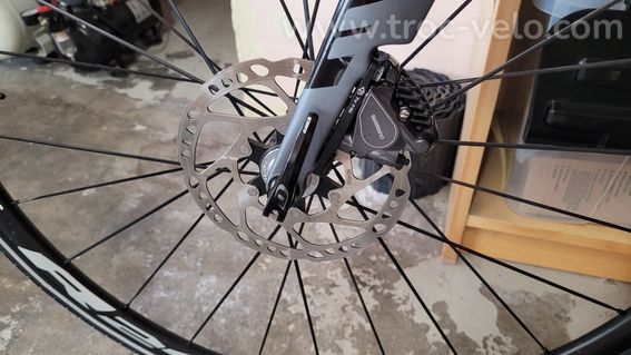 Stevens Arcalis Disc – Carbone – Shimano Ultegra – État impeccable - 8