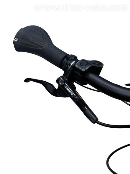 Kettler Quadriga PRO Belt Automatic Vélo électrique Enviolo 2023 - 6