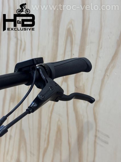 Tenways CGO600 Pro Vélo électrique Single-Speed 2024 - 5