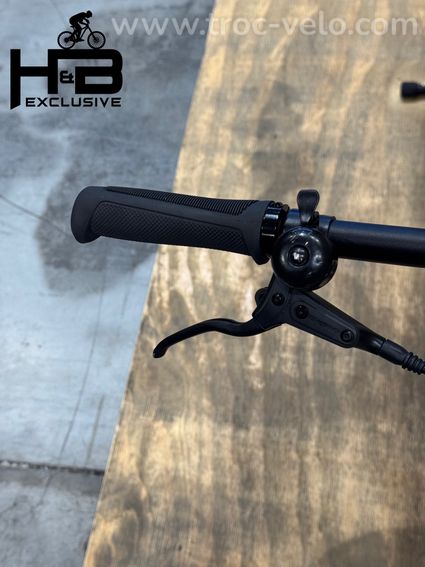 Tenways CGO600 Pro Vélo électrique Single-Speed 2024 - 6