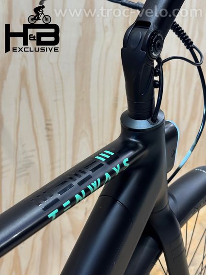 Tenways CGO600 Pro Vélo électrique Single-Speed 2024 - 9