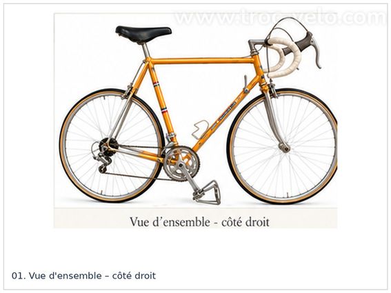 DILECTA Reynolds 531 – vélo de course français vintage