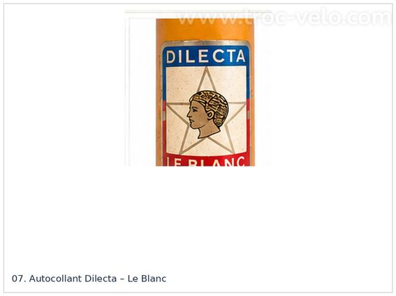DILECTA Reynolds 531 – vélo de course français vintage - 7