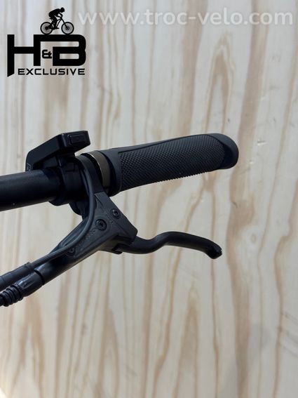 Tenways CGO600 Pro Vélo électrique Single-Speed 2024 - 6