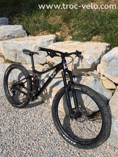 VTT liv giant embolden S - 2