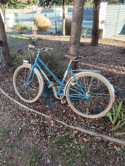 Vélo femme  - 2