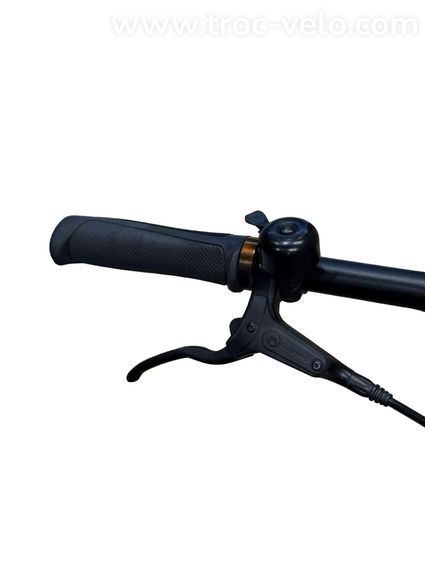Tenways CGO600 Pro Vélo électrique Single-Speed 2023 - 5