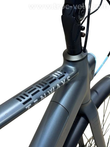 Tenways CGO600 Pro Vélo électrique Single-Speed 2023 - 9