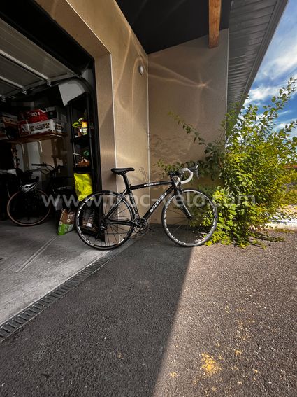 Vélo route carbone Dedacciai/Wolhausen - Groupe Ultegra/105 - Jantes Mavic Ksyrium SSC SL