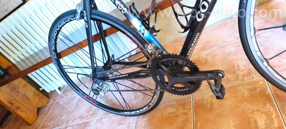 COLNAGO C 50 - 2