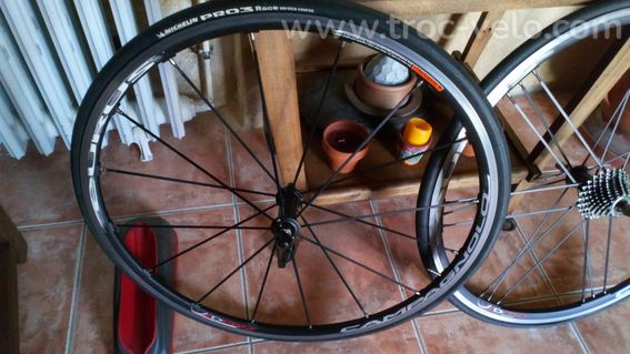 COLNAGO C 50 - 10