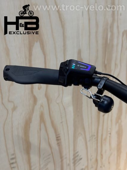 Velo De Ville SEB 890 Vélo électrique Shimano Nexus 2024 - 7