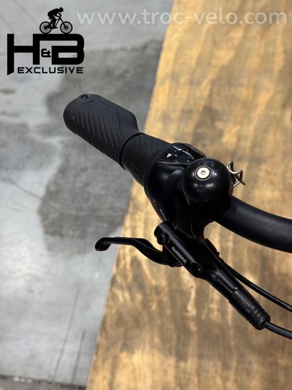 Qwic Premium i MN7 Vélo électrique Shimano Nexus 2021 - 5