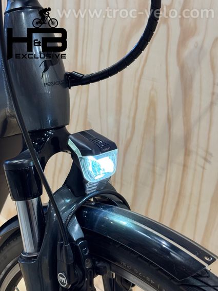 Pegasus Premio Evo 5 Belt Vélo électrique Shimano Nexus 2022 - 3