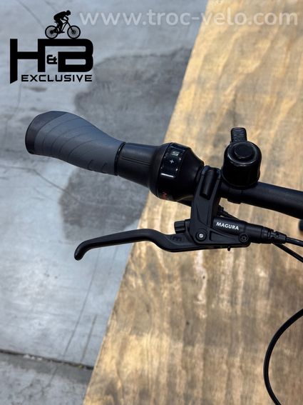 Pegasus Premio Evo 5 Belt Vélo électrique Shimano Nexus 2022 - 4