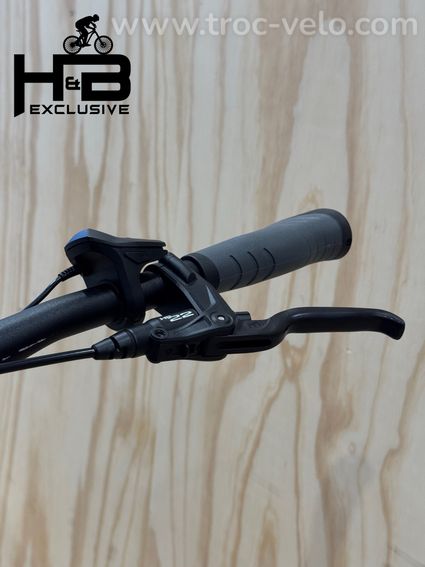Pegasus Premio Evo 5 Belt Vélo électrique Shimano Nexus 2022 - 5