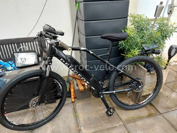 Peugeot Ec01 Bicicletta Elettrica Peugeot Bicicletta Peugeot Uomo