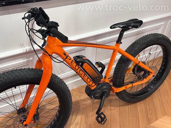 Vélo électrique Peugeot EFB01, type "Fatbike électrique - Sable & neige" - 3