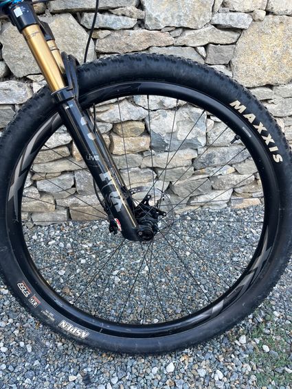 Giant Anthem Advanced SE - 10