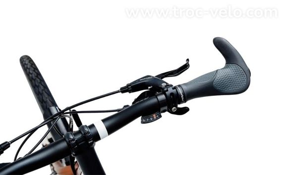 Vélo de voyage Ridgeback Expedition Orange – Taille XL – 2022 - 5