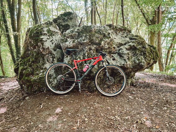 BMC teamelite 02 - 2