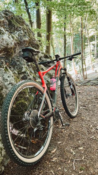 BMC teamelite 02 - 4