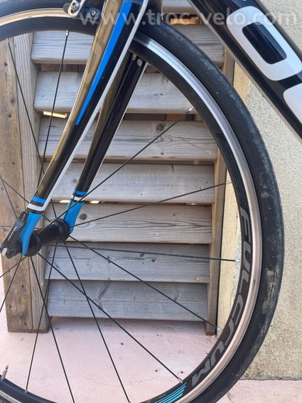 Vélo route Focus cayo carbone ultegra - 8