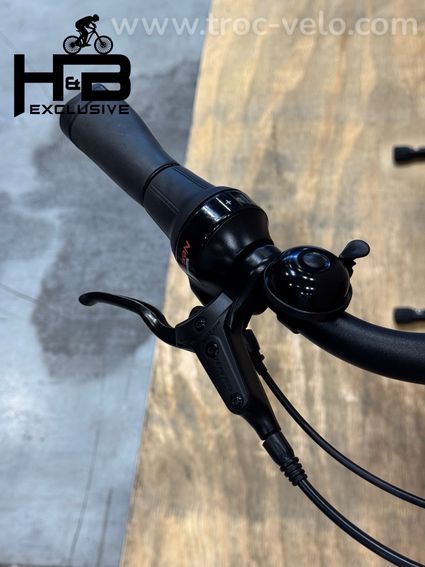 Diamant Beryll Gen 3 Vélo électrique Shimano Nexus 2024 - 5