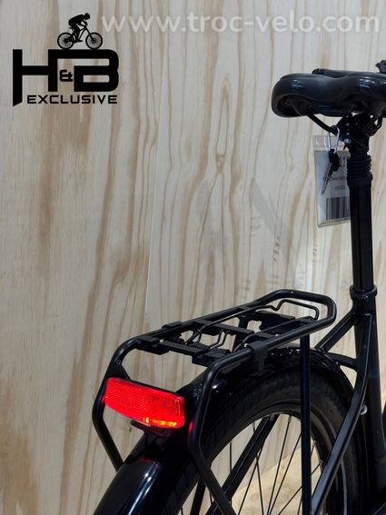 Diamant Beryll Gen 3 Vélo électrique Shimano Nexus 2024 - 11
