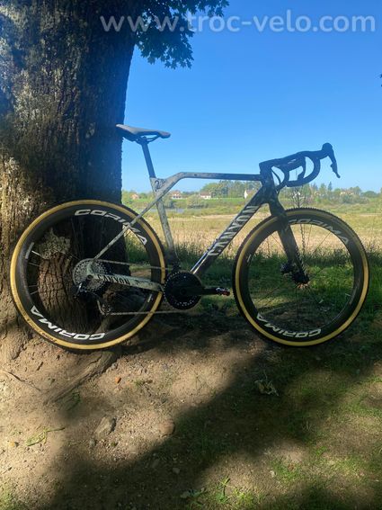 Canyon CF SL