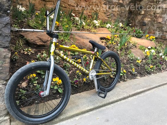 BMX BSD Passenger  - 2