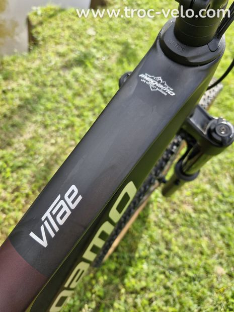 VTT MEGAMO VITAE 20 2024 - 4