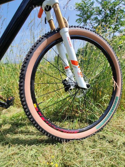 VTT carbone semi rigide - 5