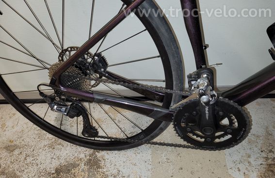 GIANT REVOLT ADVANCED 2 2021 - 2