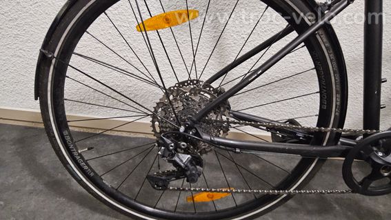 Trek 2023 FX3 Disque - 3