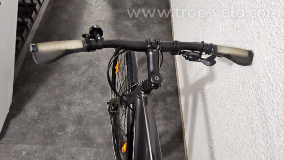 Trek 2023 FX3 Disque - 5