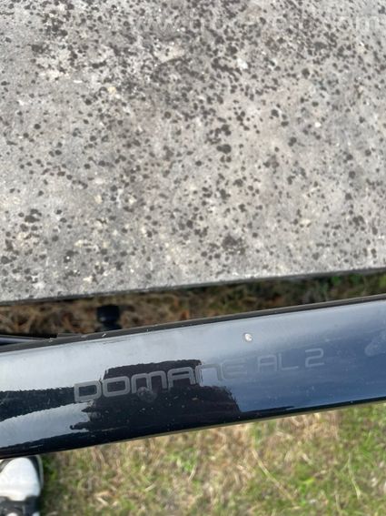 Trek Domane AL2 - 3