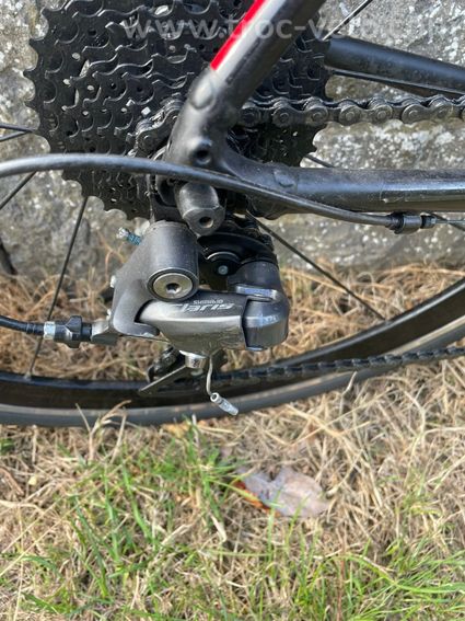 Trek Domane AL2 - 4